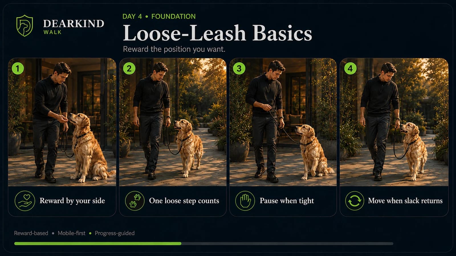 Loose leash walking training